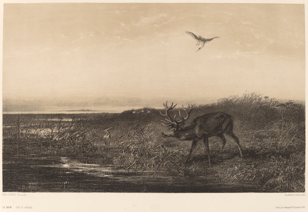 Kvällen. Rådjur och hägrar av Karl Bodmer