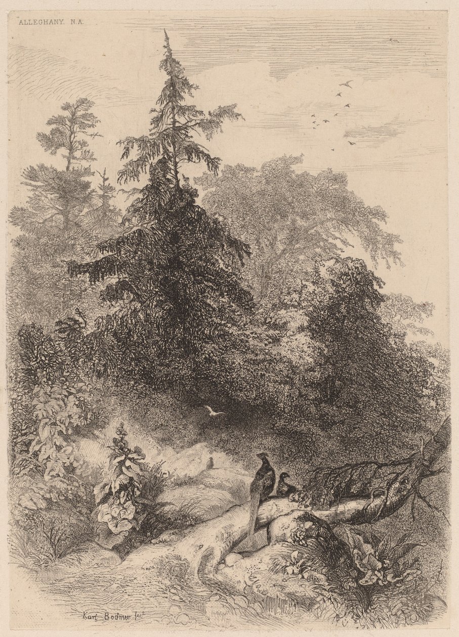 Fasanerna. av Karl Bodmer