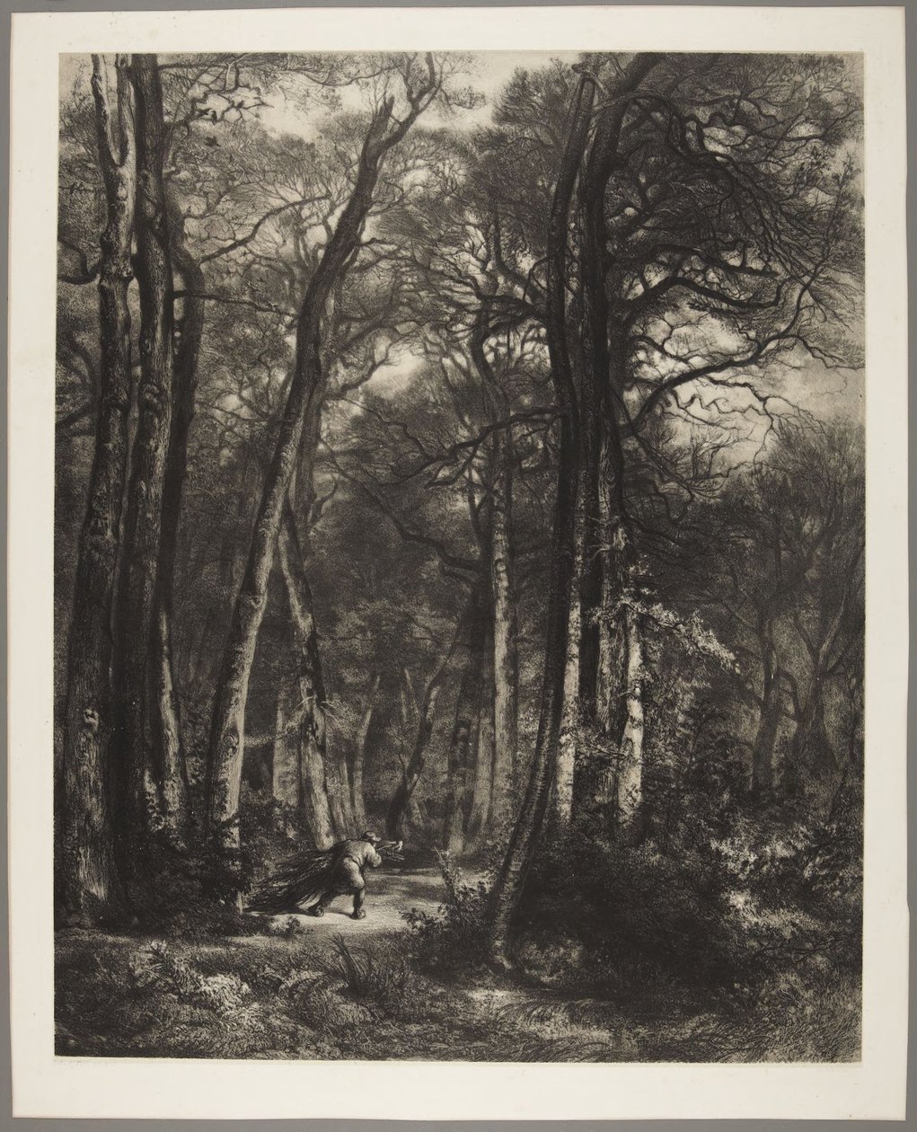 Mannen i skogen av Karl Bodmer