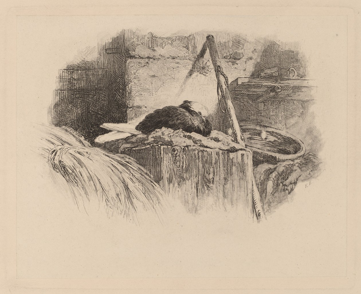 duva på ett bo av Karl Bodmer