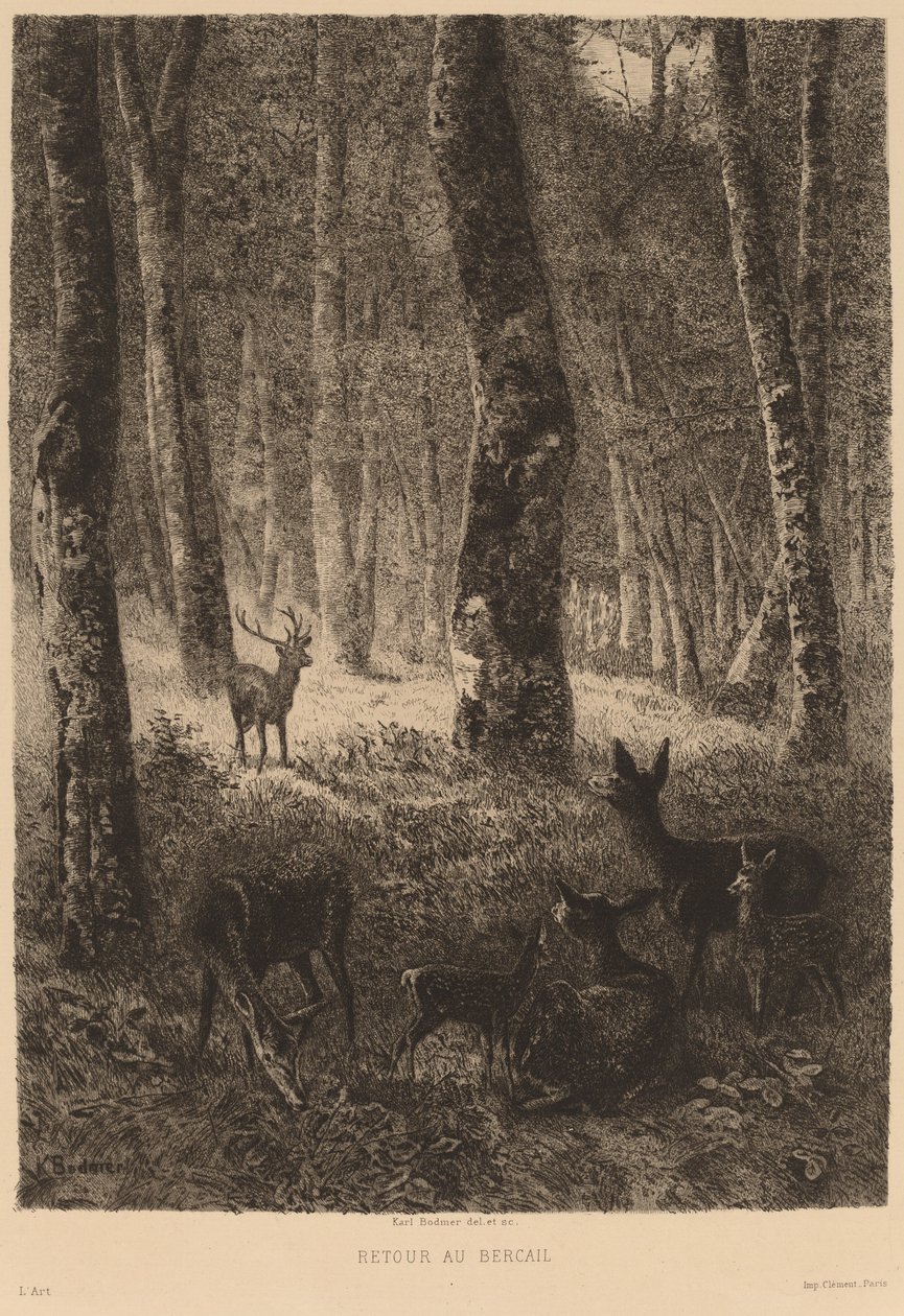 Tillbaka hem av Karl Bodmer