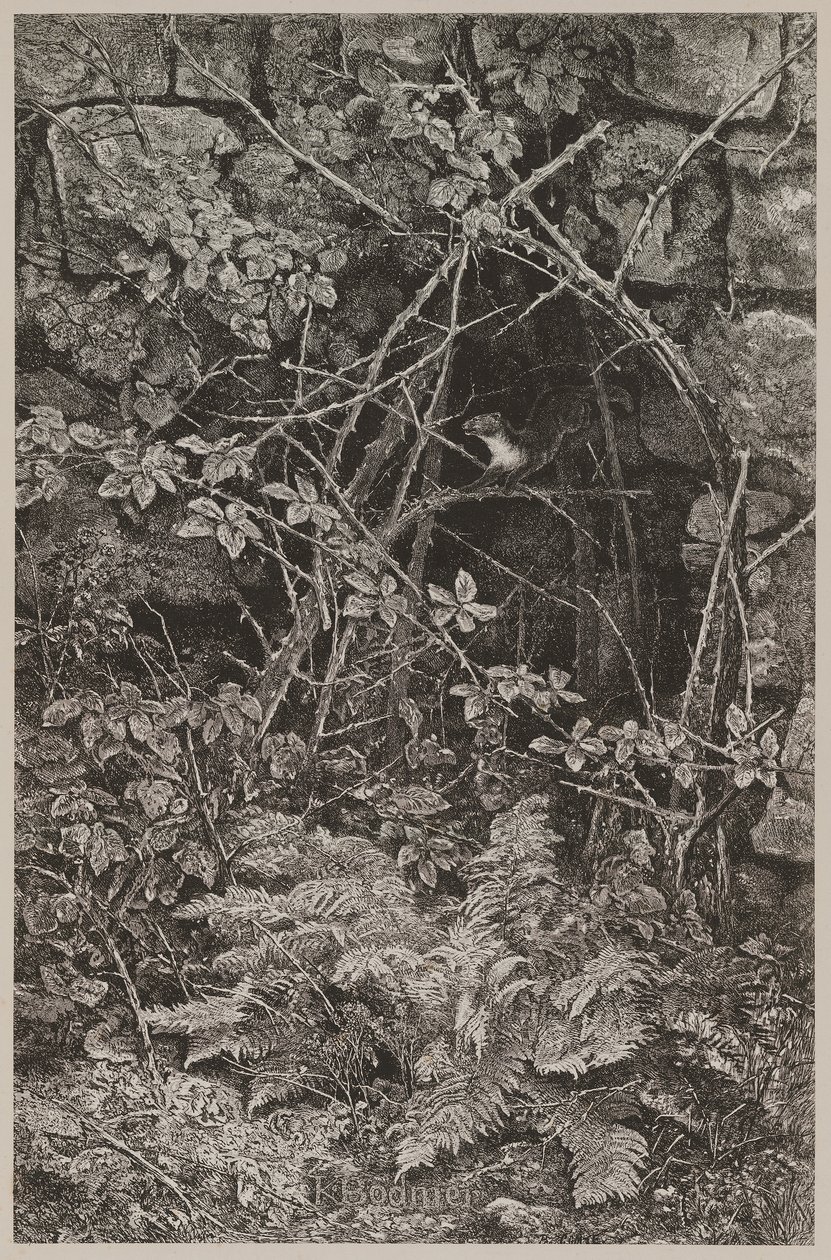 Hoppande mård av Karl Bodmer