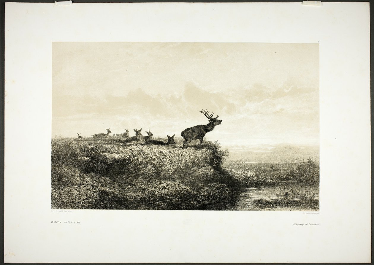 Morgonen: Hjortar och hindar av Karl Bodmer