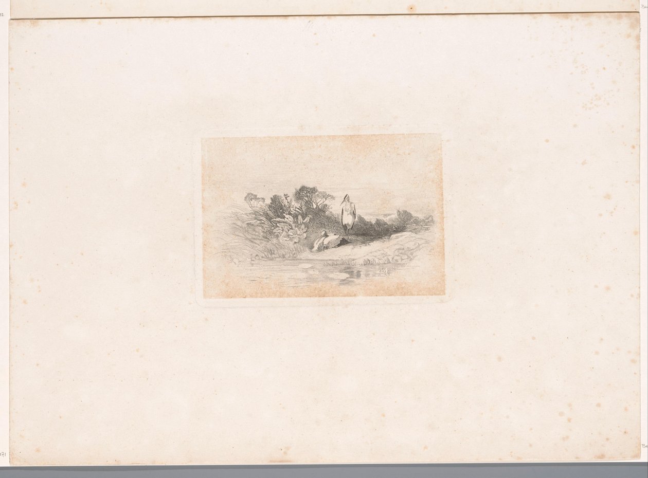 Två hägrar vid vattnet Landskap med djur (serietitel) av Karl Bodmer