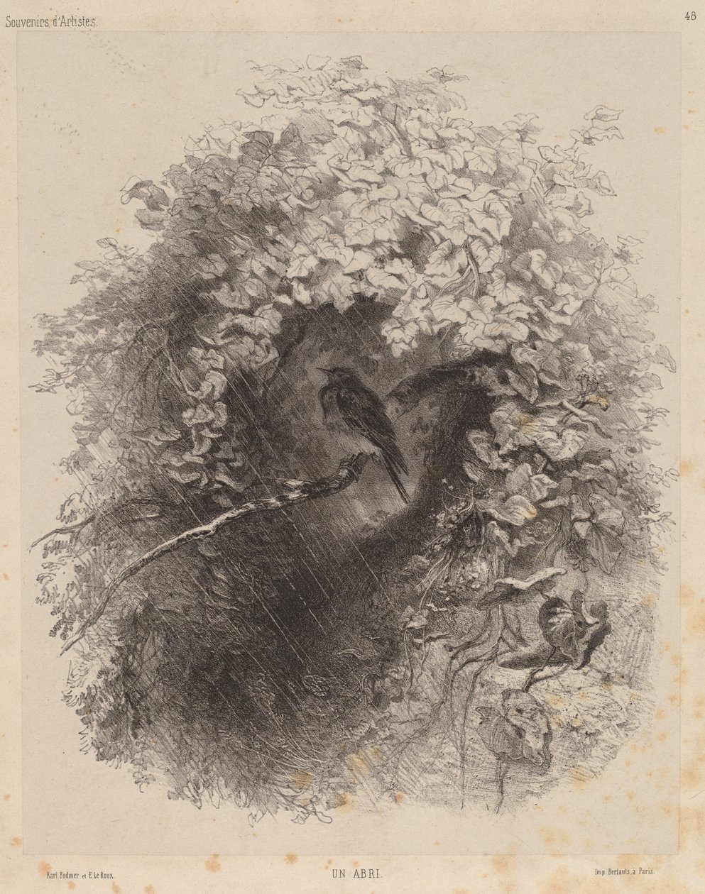 Ett skydd av Karl Bodmer