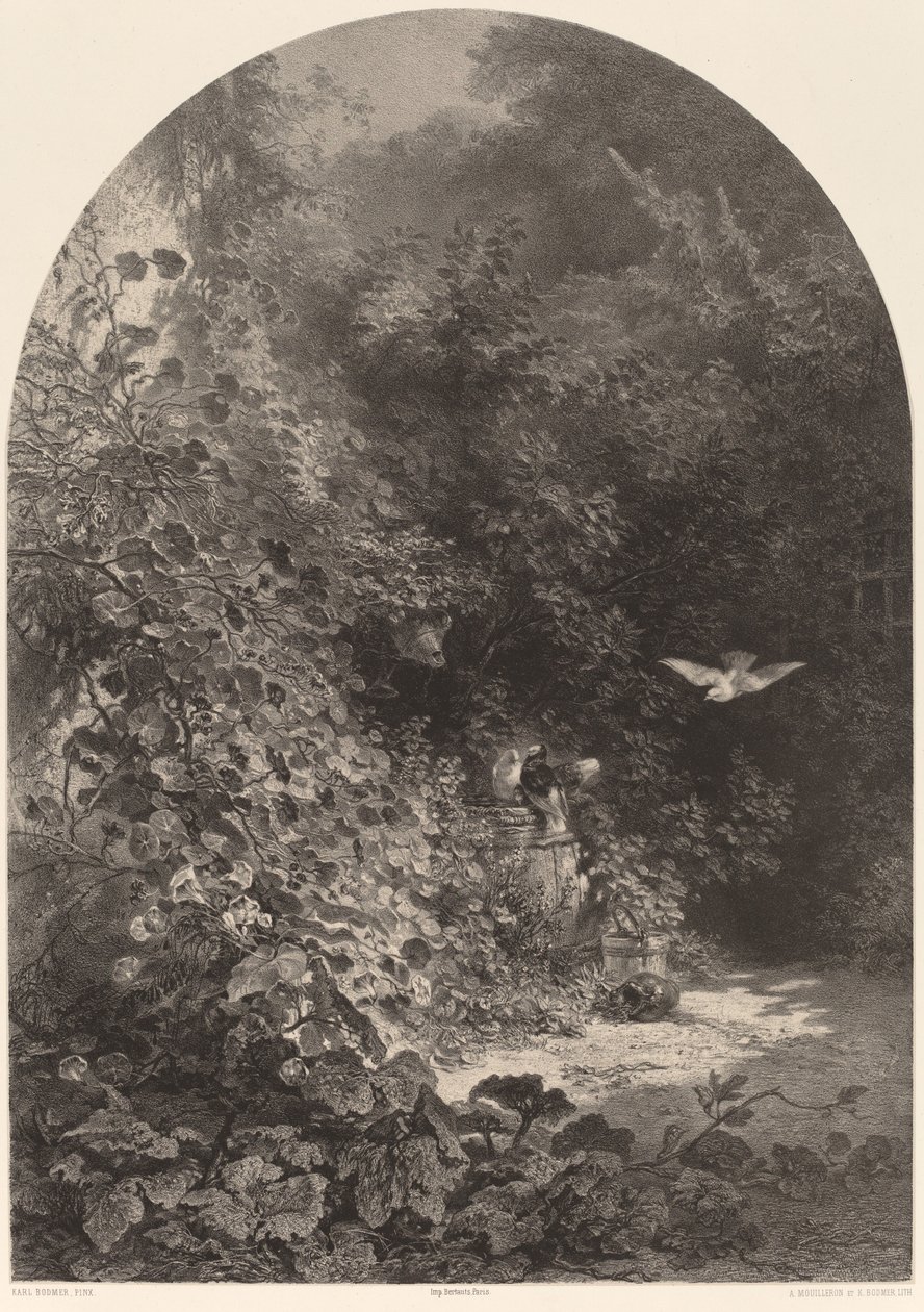 Ett hörn av trädgården av Karl Bodmer