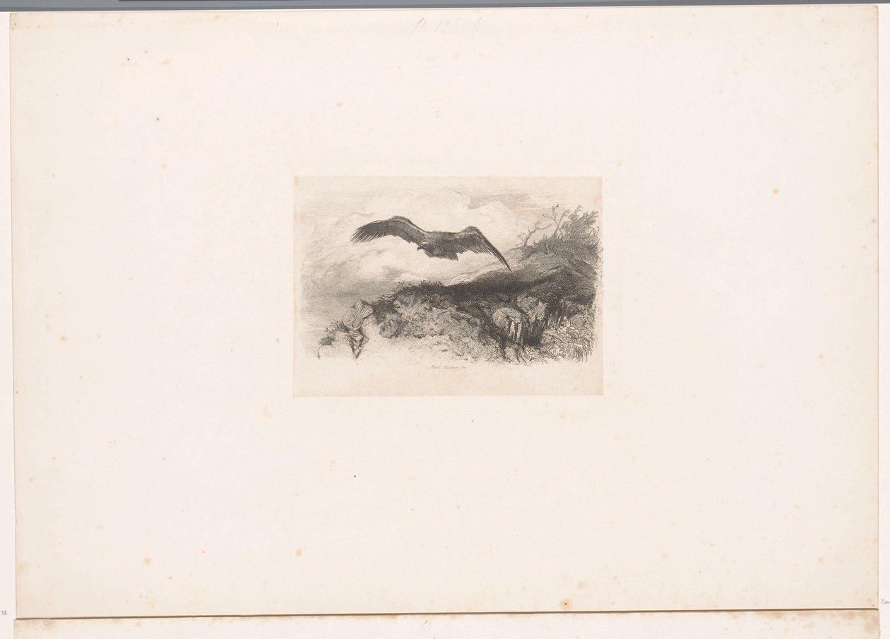 flygande örn Landskap med djur (serietitel) av Karl Bodmer