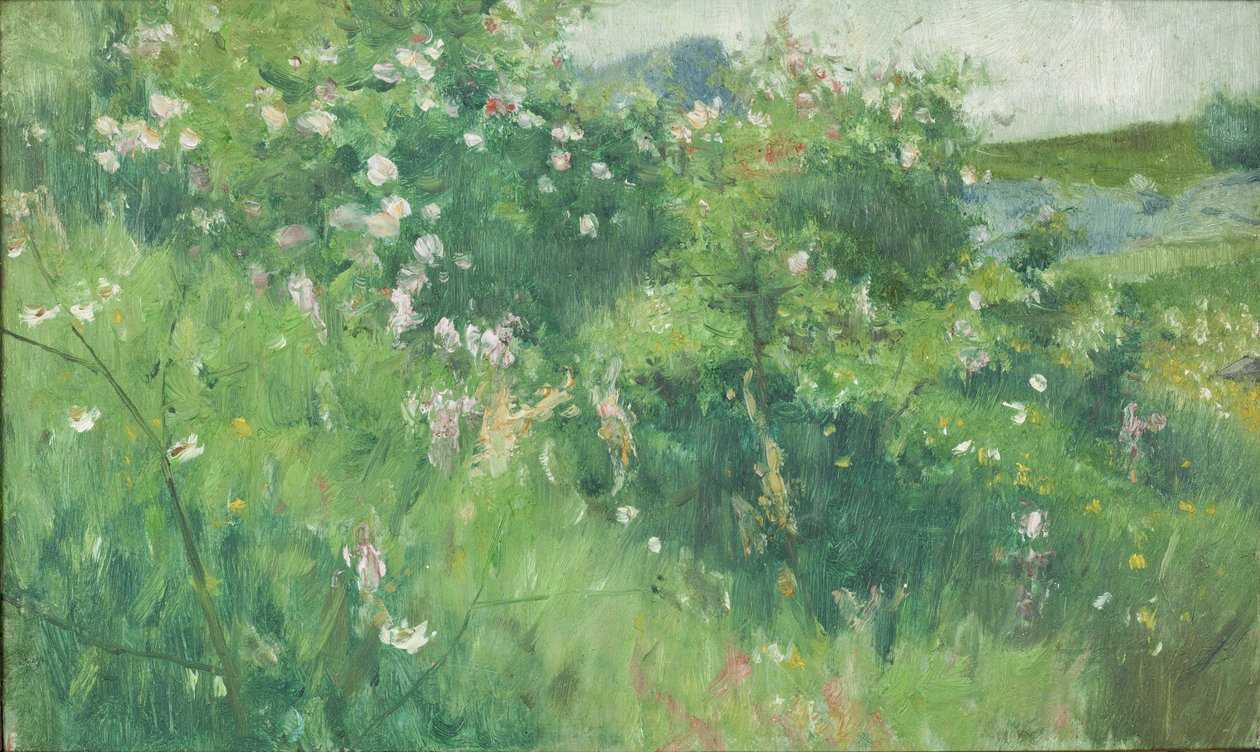 Träbuskar som blommar på Tjörn av Karl Fredrick Nordstrom