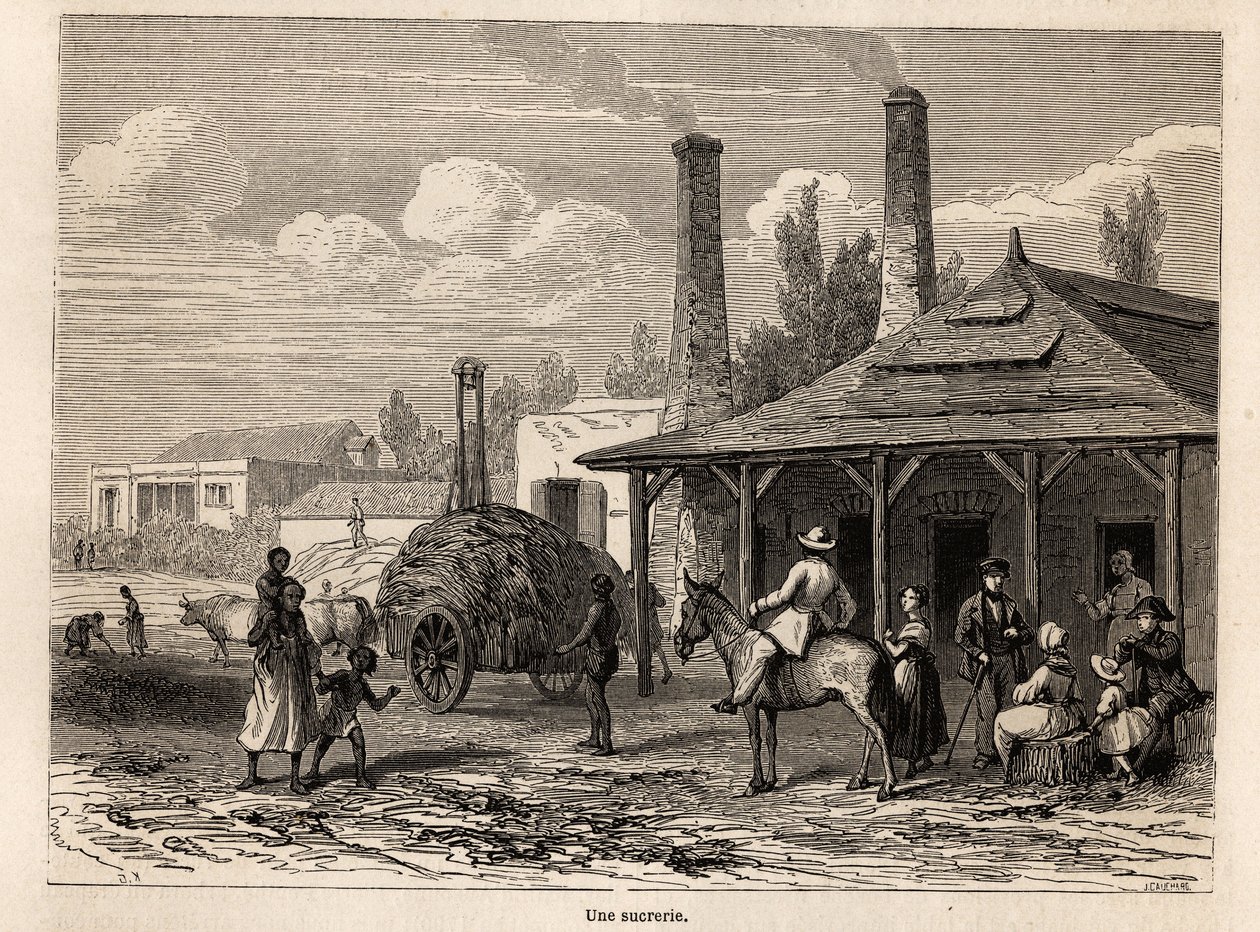 En sockerfabrik från Riviere du Rempart, i Mauritius, ritning av Karl Girardet (1813-1871), för att illustrera Alfred Verneys vistelse på Mauritius 1861. Gravyr i "" Le tour du monde", redigerad av Edouard Charton av Karl Girardet
