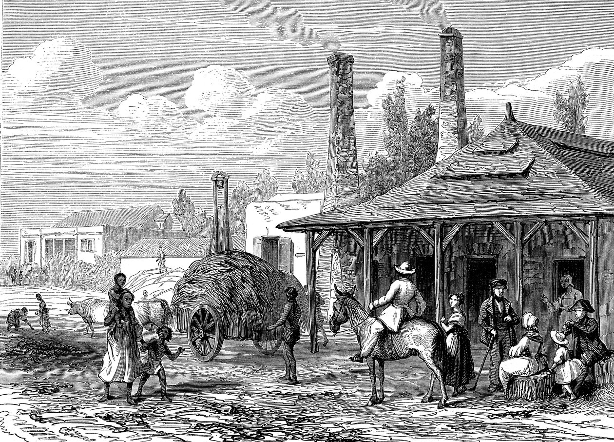 Sockerplanta i Mauritius 1863. Le T du Monde Paris 1863 Utgivare av Karl Girardet