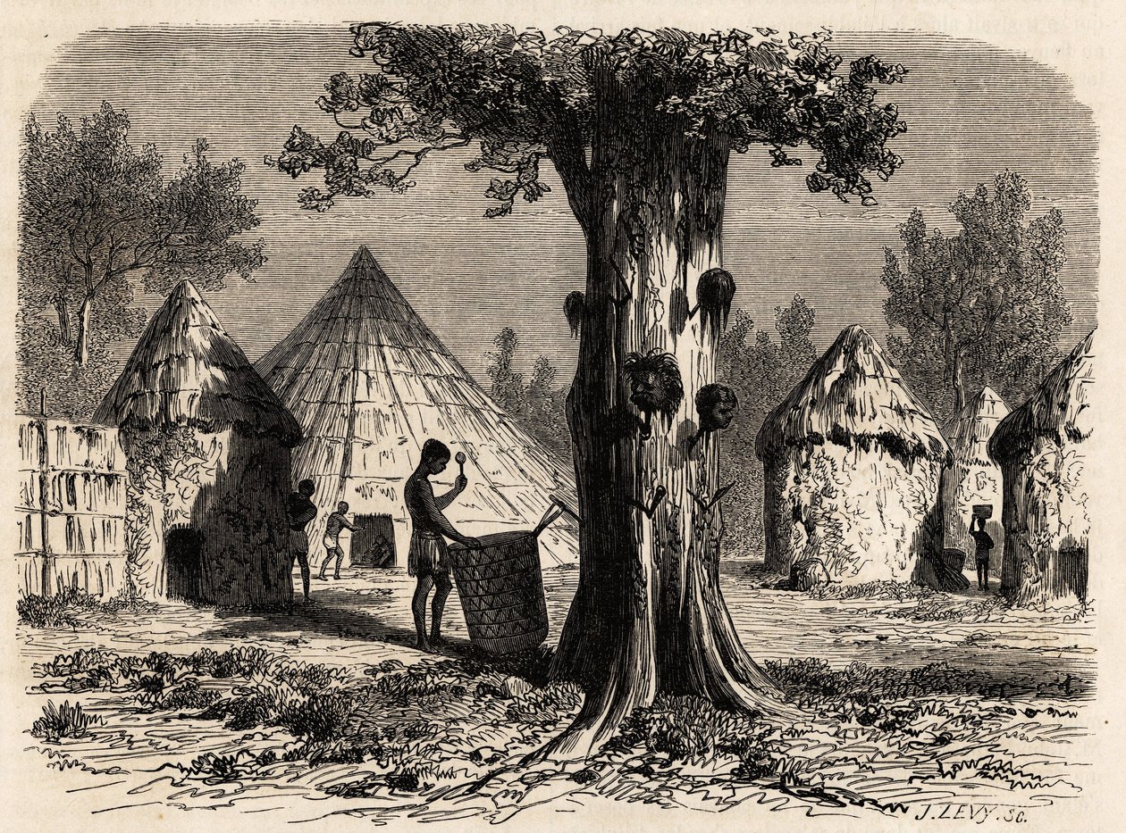 Krigets träd, i en by Djour, Bahr-el-Gazal-regionen, Sudan, teckning av Karl Girardet (1813-1871) för att illustrera resan till floden av gasellerna i A. Bolognesi, 1856-1857. Gravyr i "" Le tour du monde"", redigerad av Edouard Charton av Karl Girardet