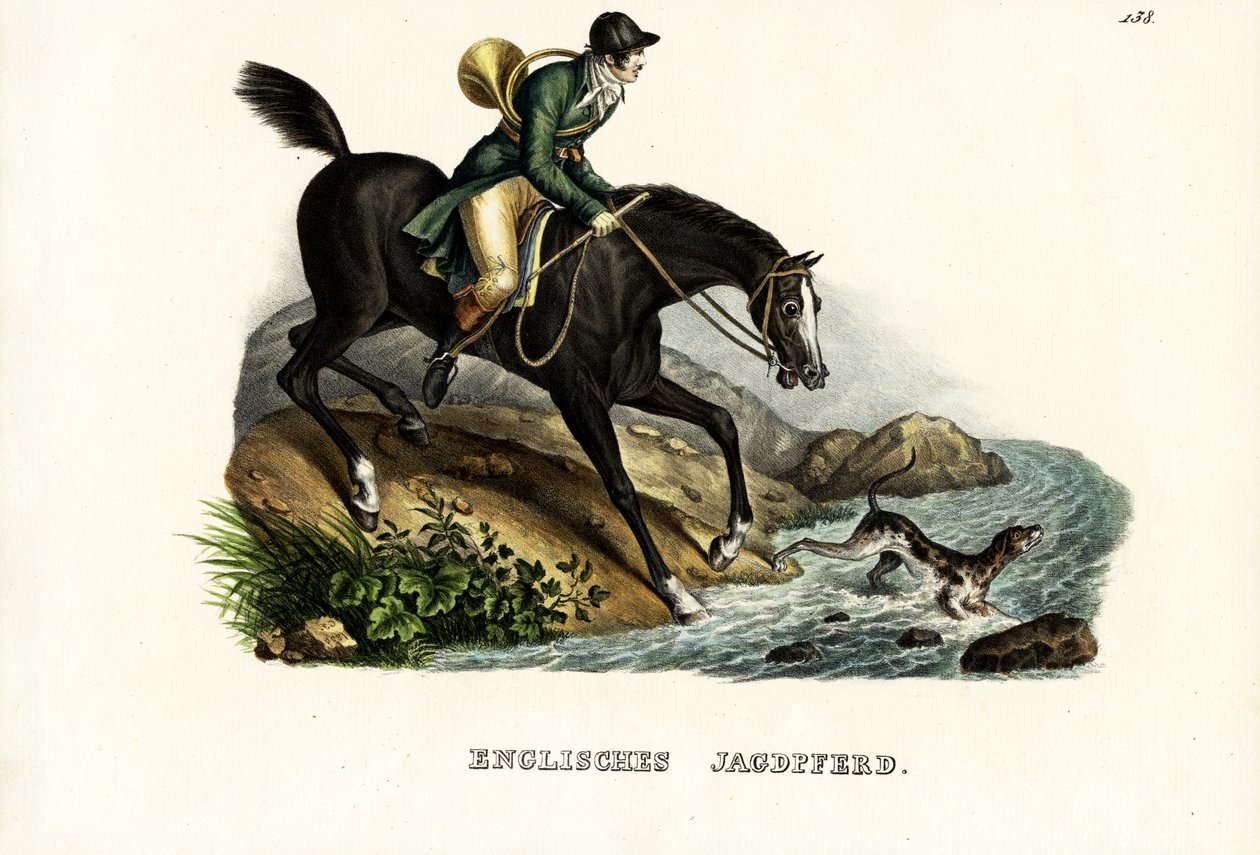 Engelsk jägarehäst, 1824 av Karl Joseph Brodtmann