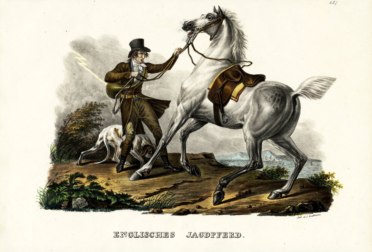 Engelsk jägarehäst, 1824 av Karl Joseph Brodtmann
