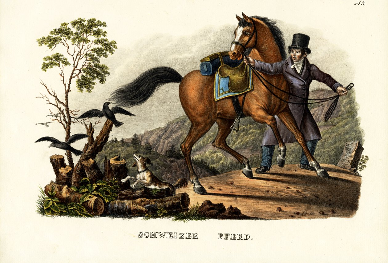 Schweizisk häst, 1824 av Karl Joseph Brodtmann
