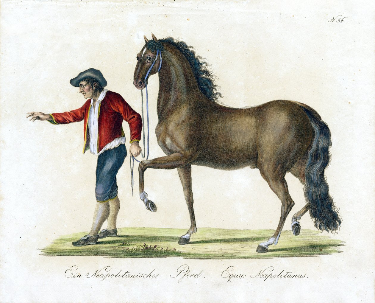  av Karl Joseph Brodtmann