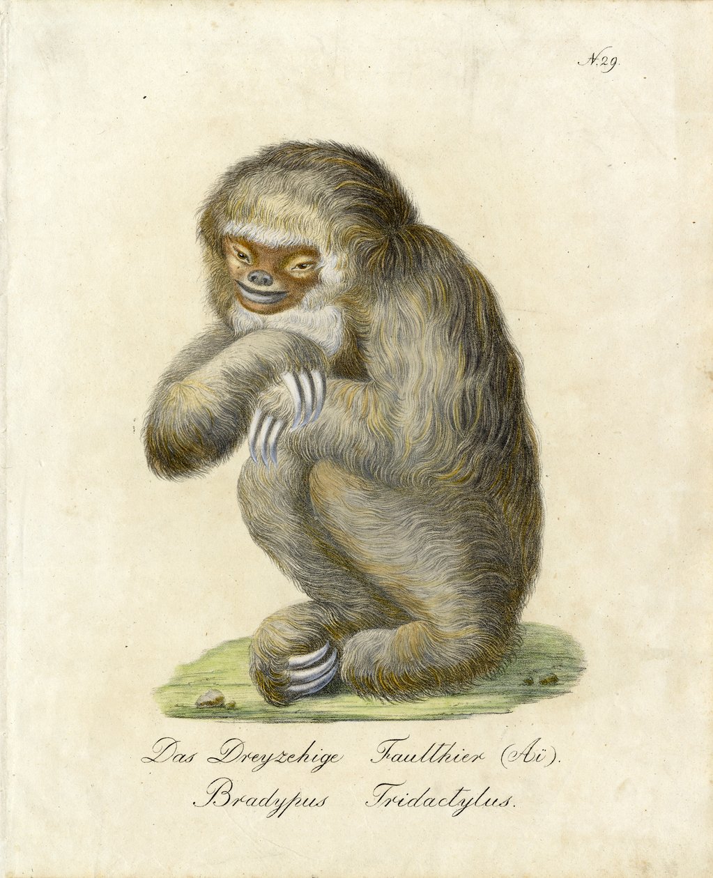  av Karl Joseph Brodtmann