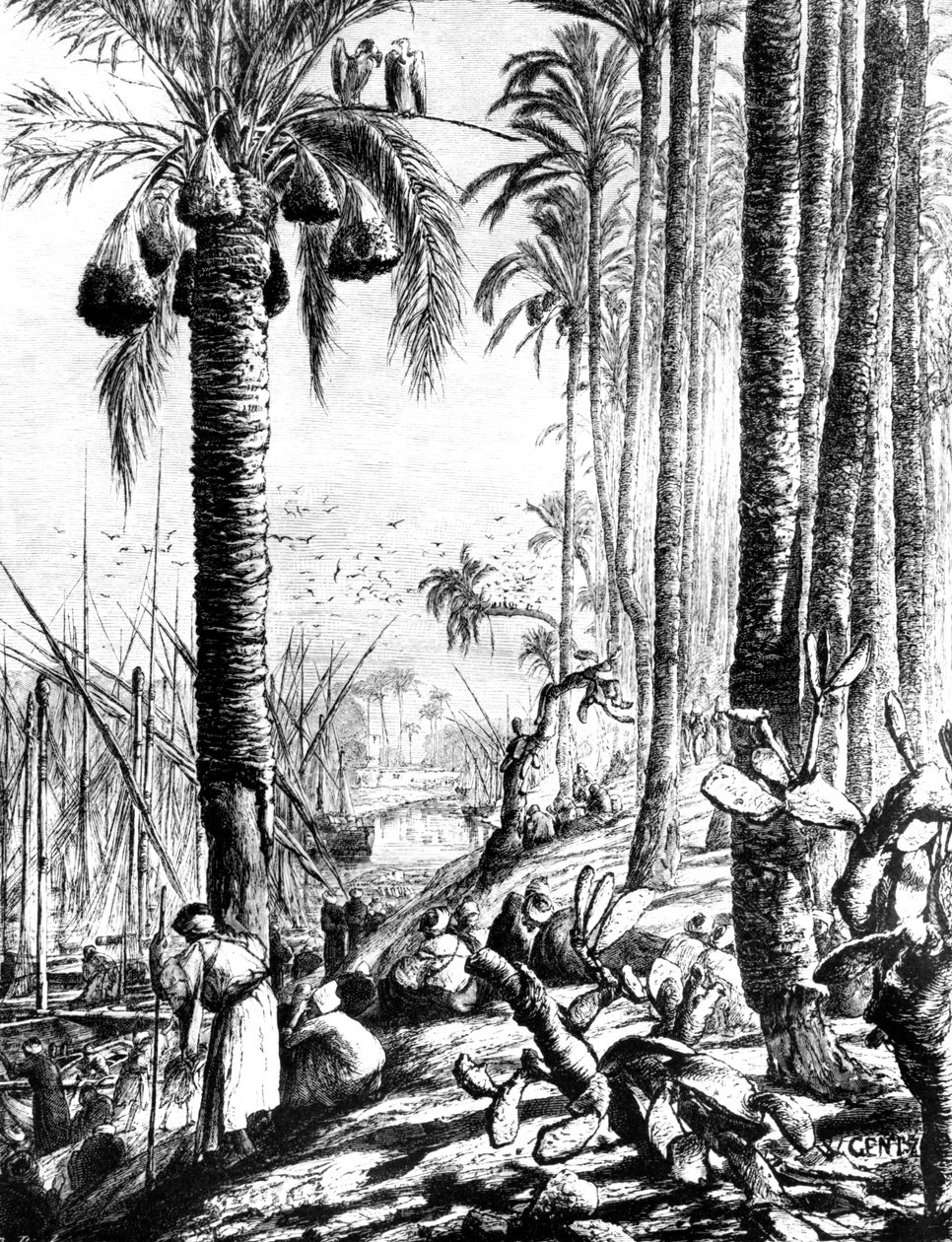 Kanalens kanter, Mahmoudiyeh, 1880 av Karl Wilhelm Gentz