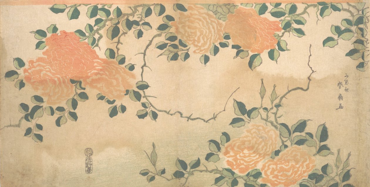 Rosor, ca. 1810. av Kashosai Shunsen