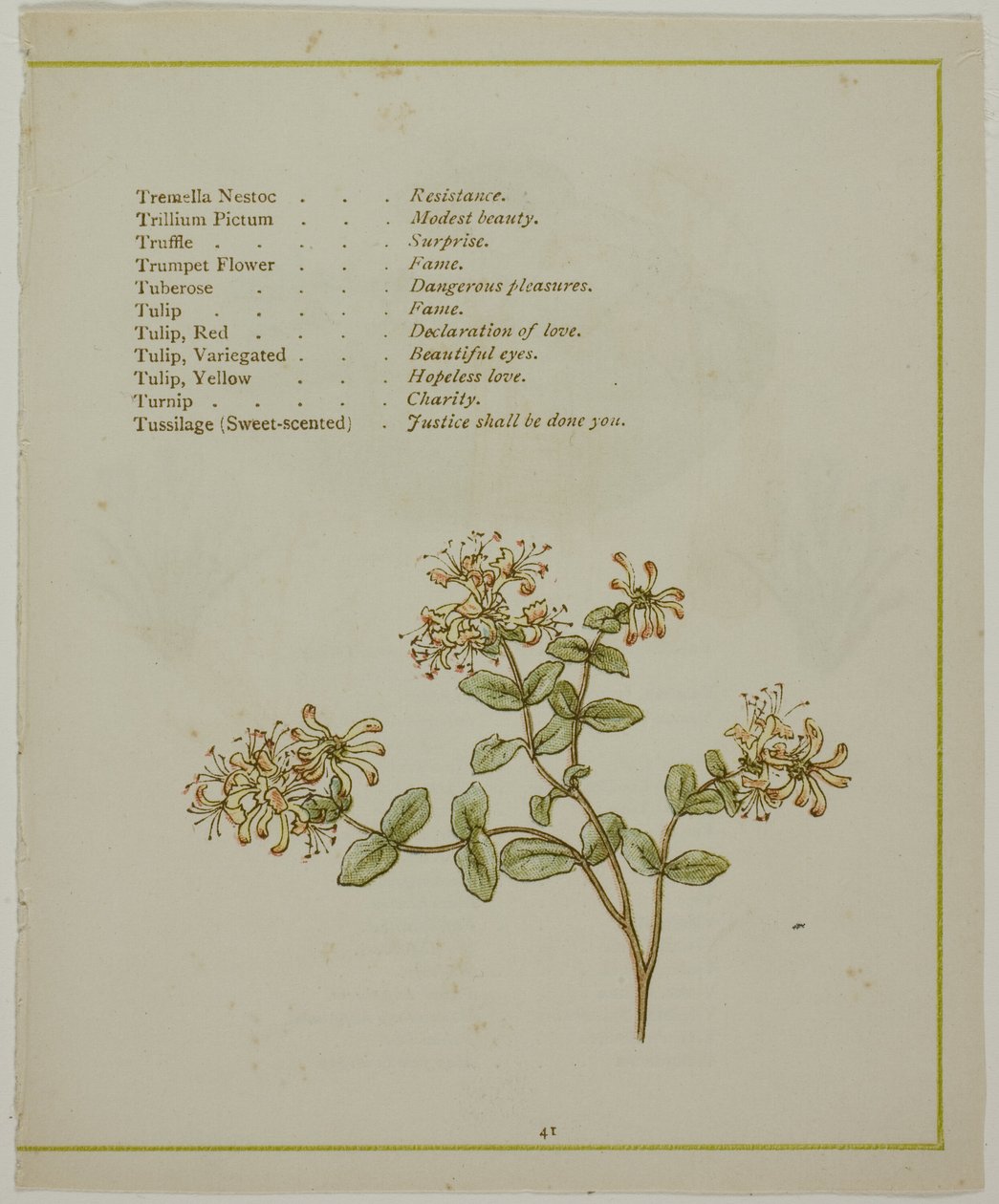 Valeriana genom Volkamenia, från Blommornas upplysta språk av Kate Greenaway