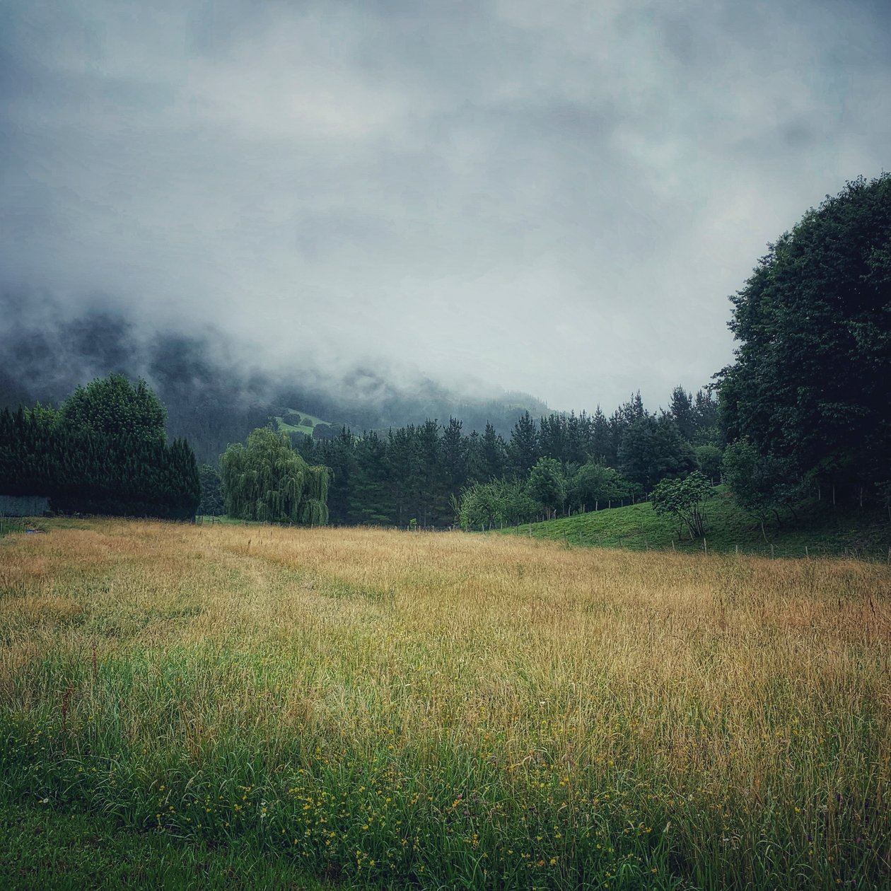 Misty Mountains, 2021 (foto) av Katha Wood