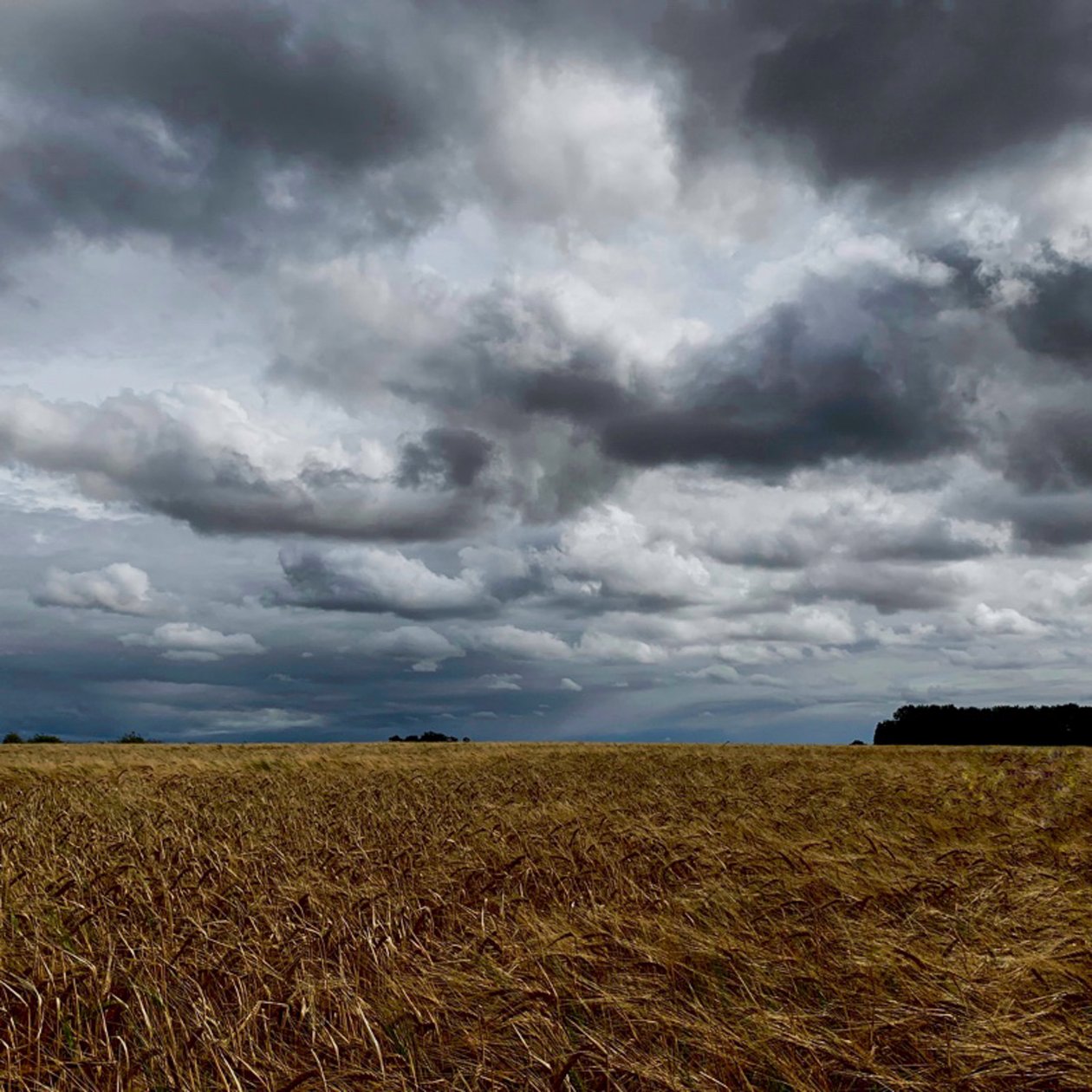 Stormig himmel över en sensommarskörd 2020 av Katha Wood