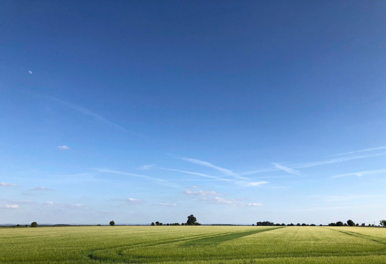 Summer Crop 2018 av Katha Wood