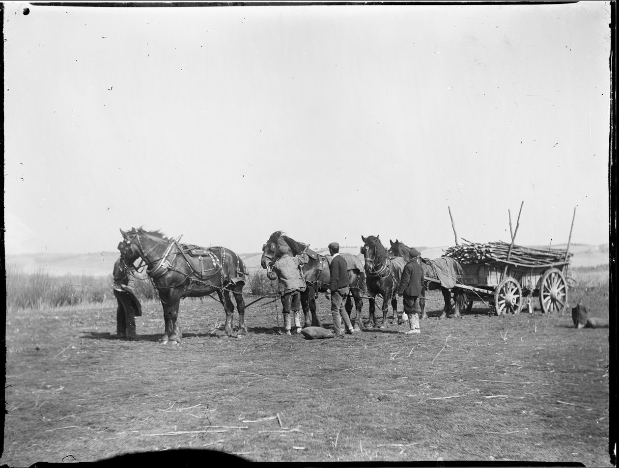 Broomfield, Broomfield And Kingswood, Maidstone, Kent, 1904-04-06 (s/v foto) av Katherine Jean Macfee