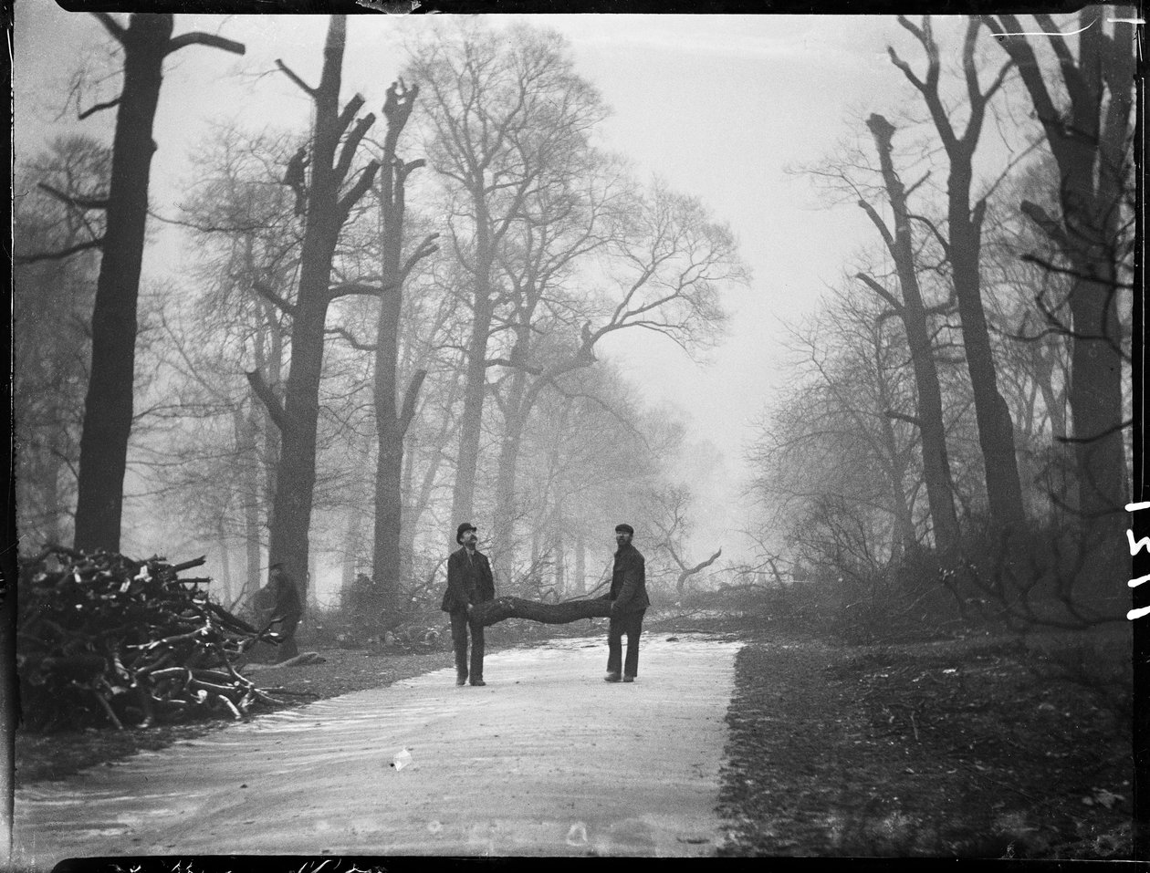 Kensington Gardens, Hyde Park, City Of Westminster, London, 26/01/1907 (s/v foto) av Katherine Jean Macfee