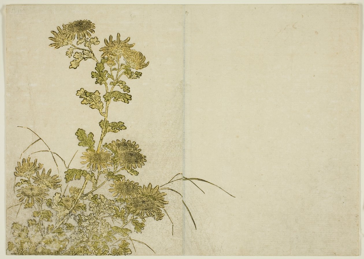 Vinterblommor: Krysantemum, från boken "Mirror of Beautiful Women of the Pleasure Quarters (Seiro bijin awase sugata kagami)," vol. 1 av Katsukawa Shunsho