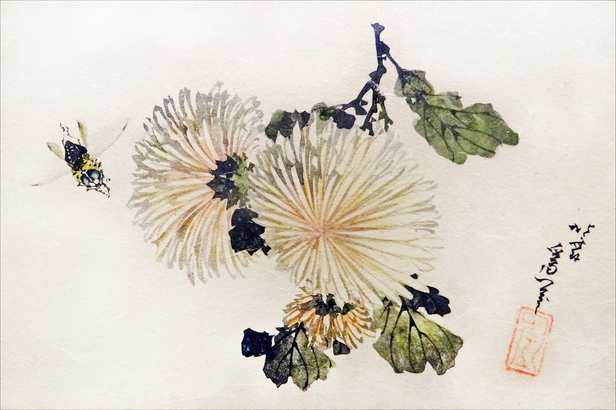 Chrysanthèmes Oeuvre  av Katsushika Hokusai