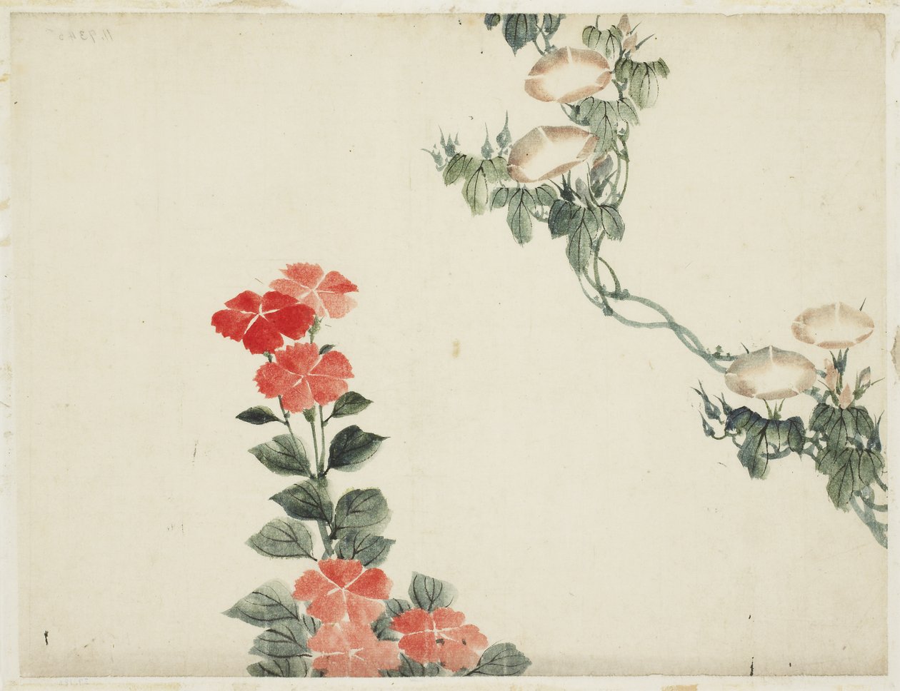 Morning Glory och röda blommor av Katsushika (school of) Hokusai