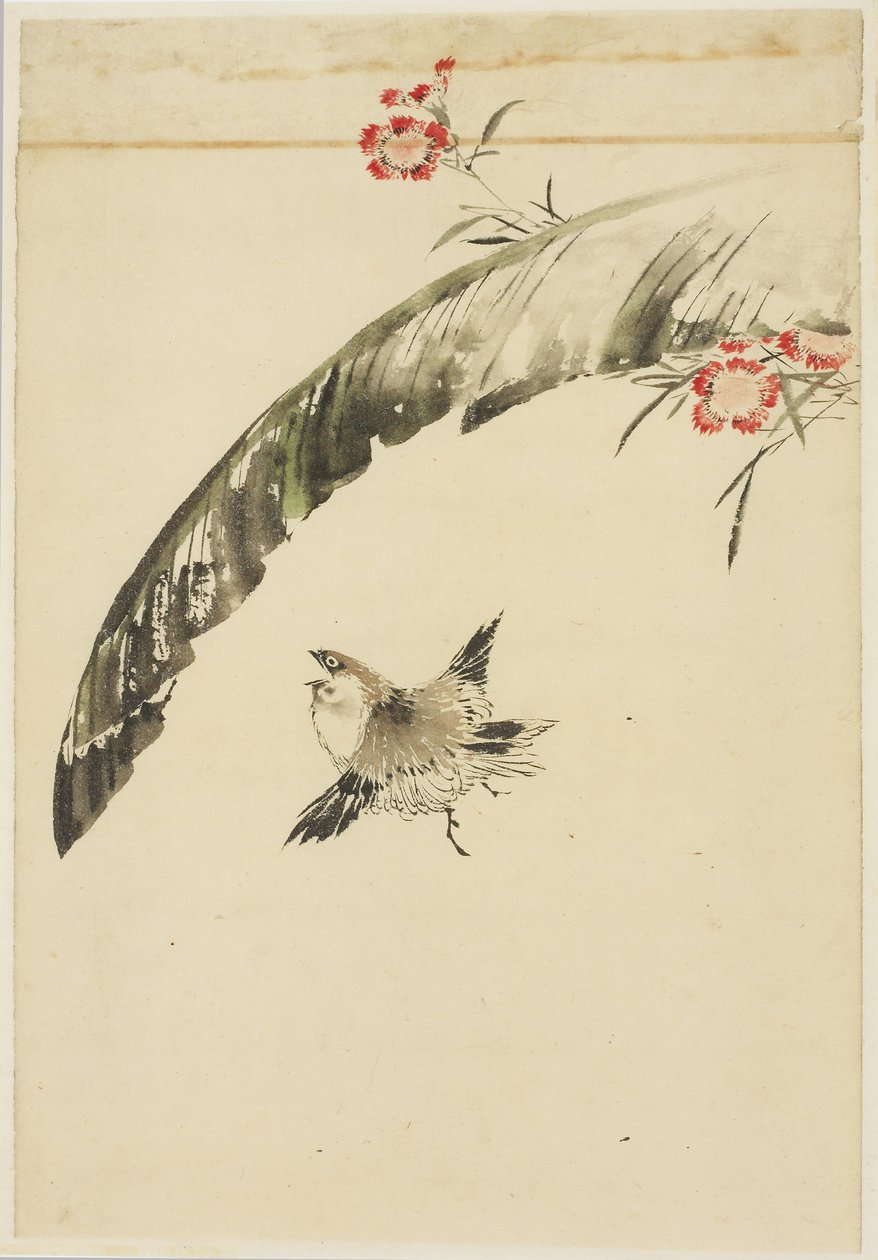 Sparv och bananblad och rosa, 1615-1868 (bläck och färg på papper) av Katsushika (school of) Hokusai