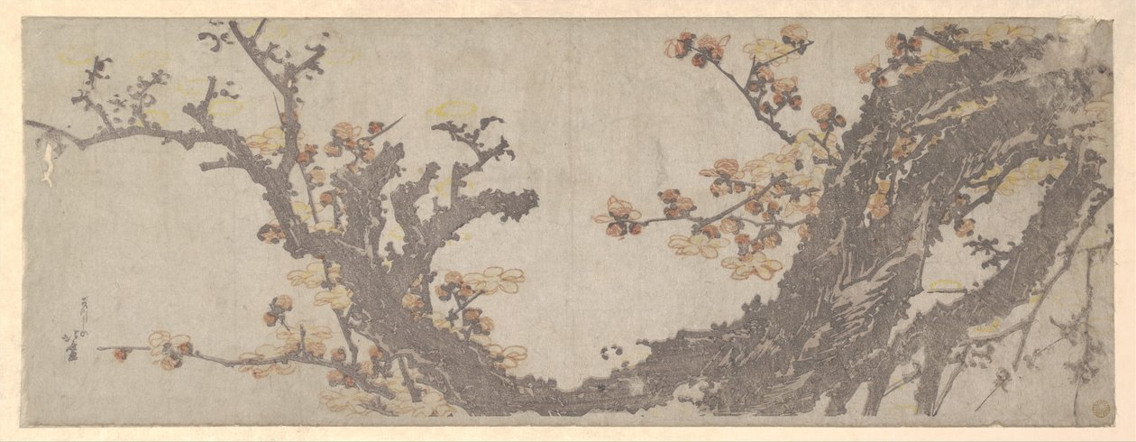 Ett gammalt plommonträd i blom av Katsushika Hokusai
