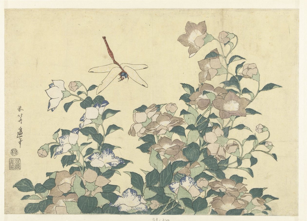 Ballongklocka och trollslända av Katsushika Hokusai
