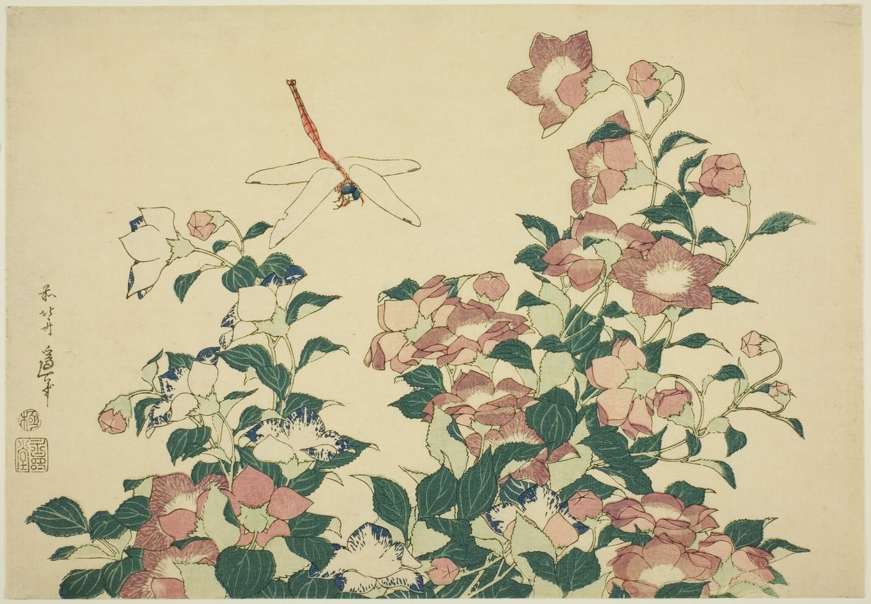 Bell-Flower and Dragonfly, från en namnlös serie stora blommor av Katsushika Hokusai