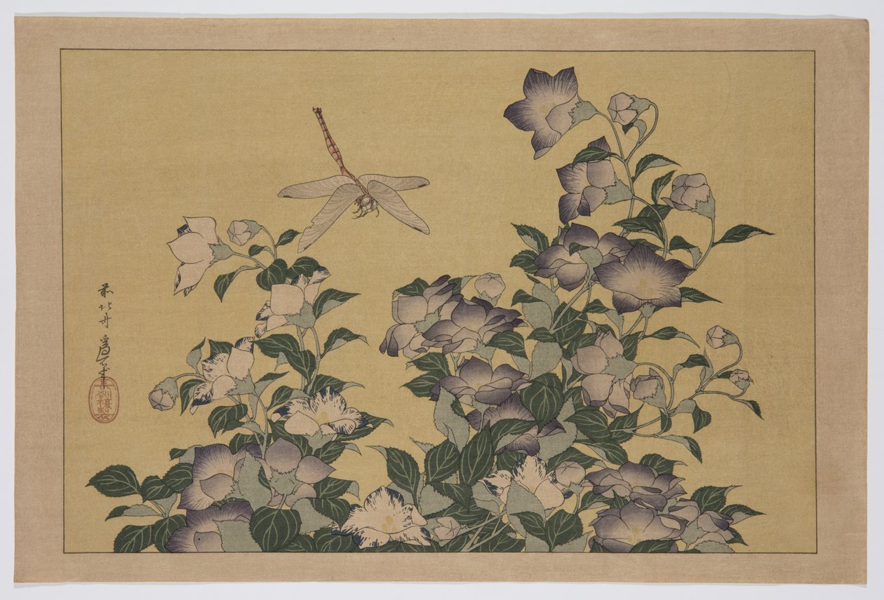 Bellflower and Dragonfly (träblock i färg) av Katsushika Hokusai
