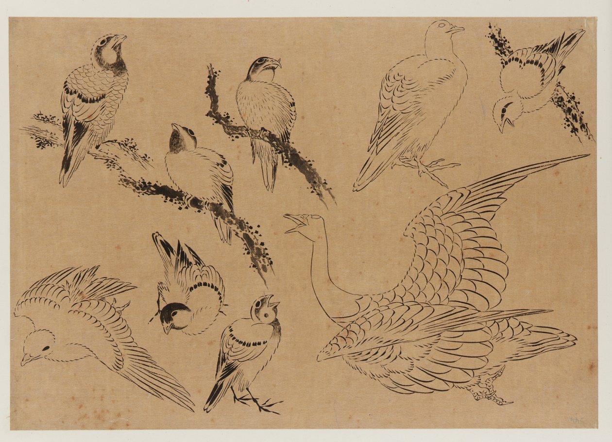 Fåglar, Edo-perioden, sent 1700-tidigt 1800-tal. av Katsushika Hokusai