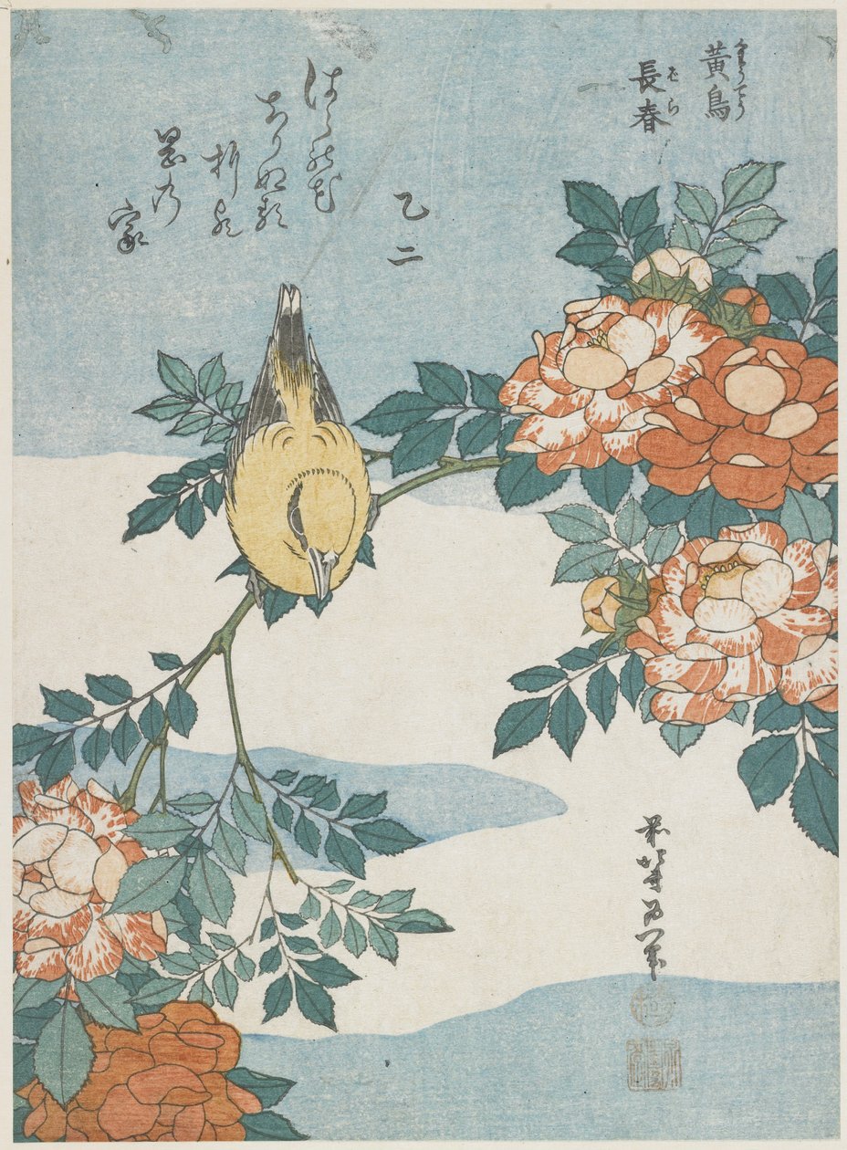 Black-Naped Oriole och China Rose, ca. 1833 av Katsushika Hokusai