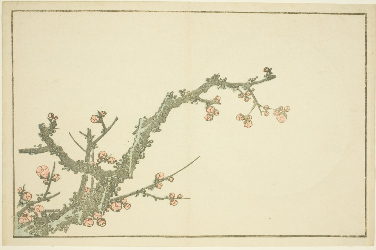 Blooming Plum Tree, från The Picture Book of Realistic Paintings of Hokusai (Hokusai shashin gafu) av Katsushika Hokusai