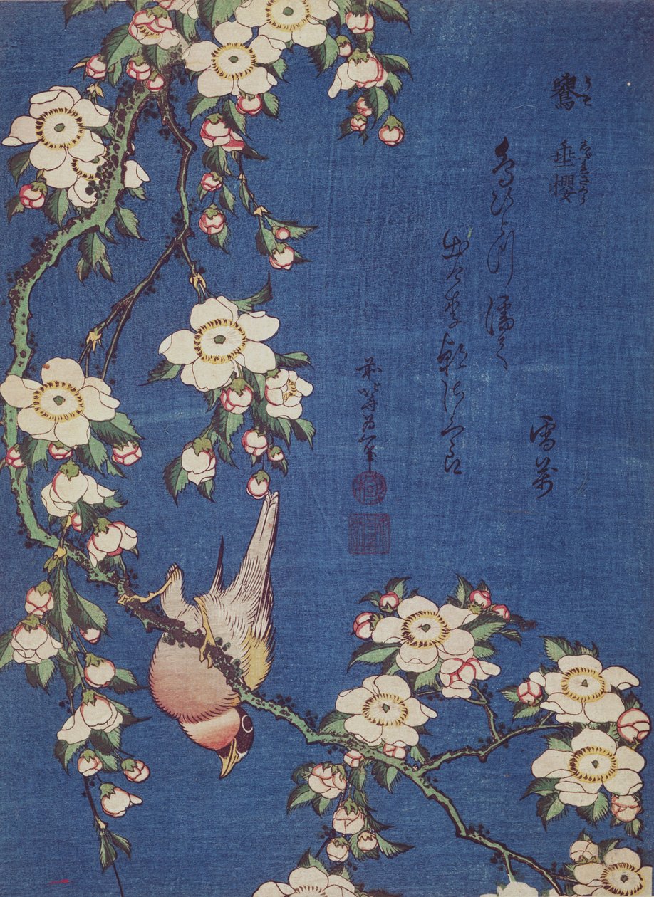 Gullfink och gråtande körsbärsträd, pub. c.1834 (färgtrycksättning) av Katsushika Hokusai