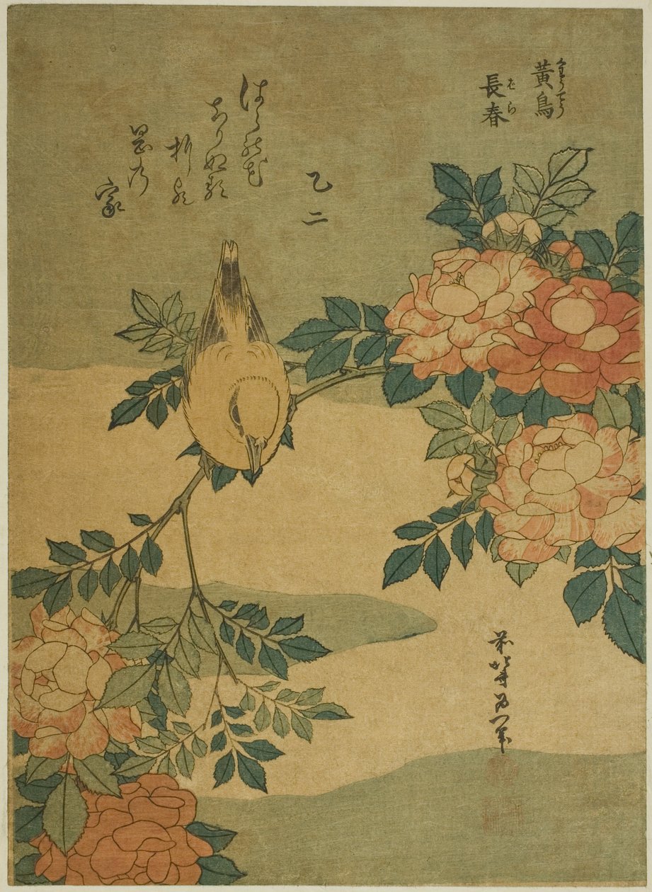 Bush Warbler and Rose (Kocho, bara), från en namnlös serie av blommor och fåglar av Katsushika Hokusai