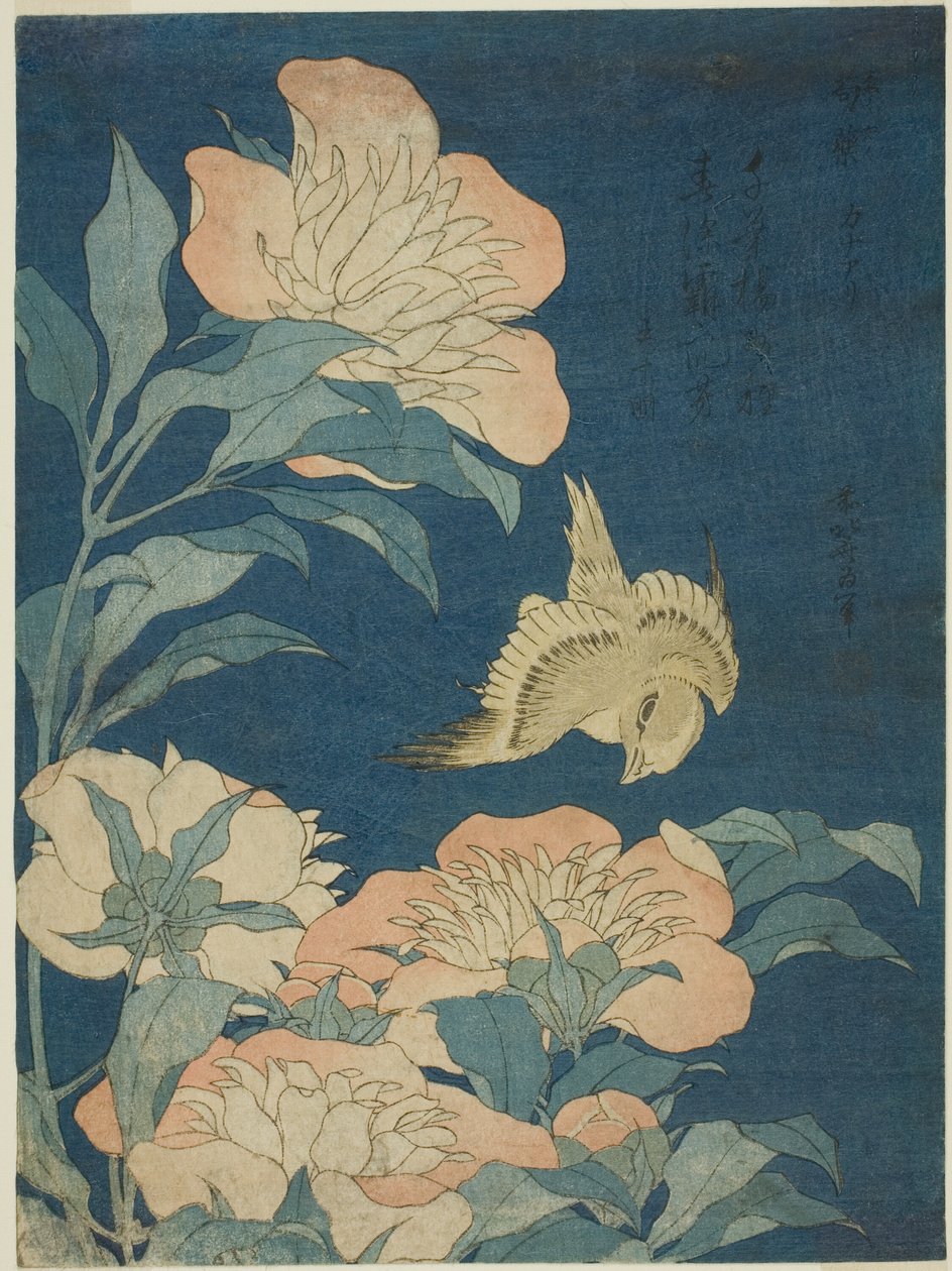 Canary and Peony (Canary, shakuyaku), från en namnlös serie av blommor och fåglar av Katsushika Hokusai