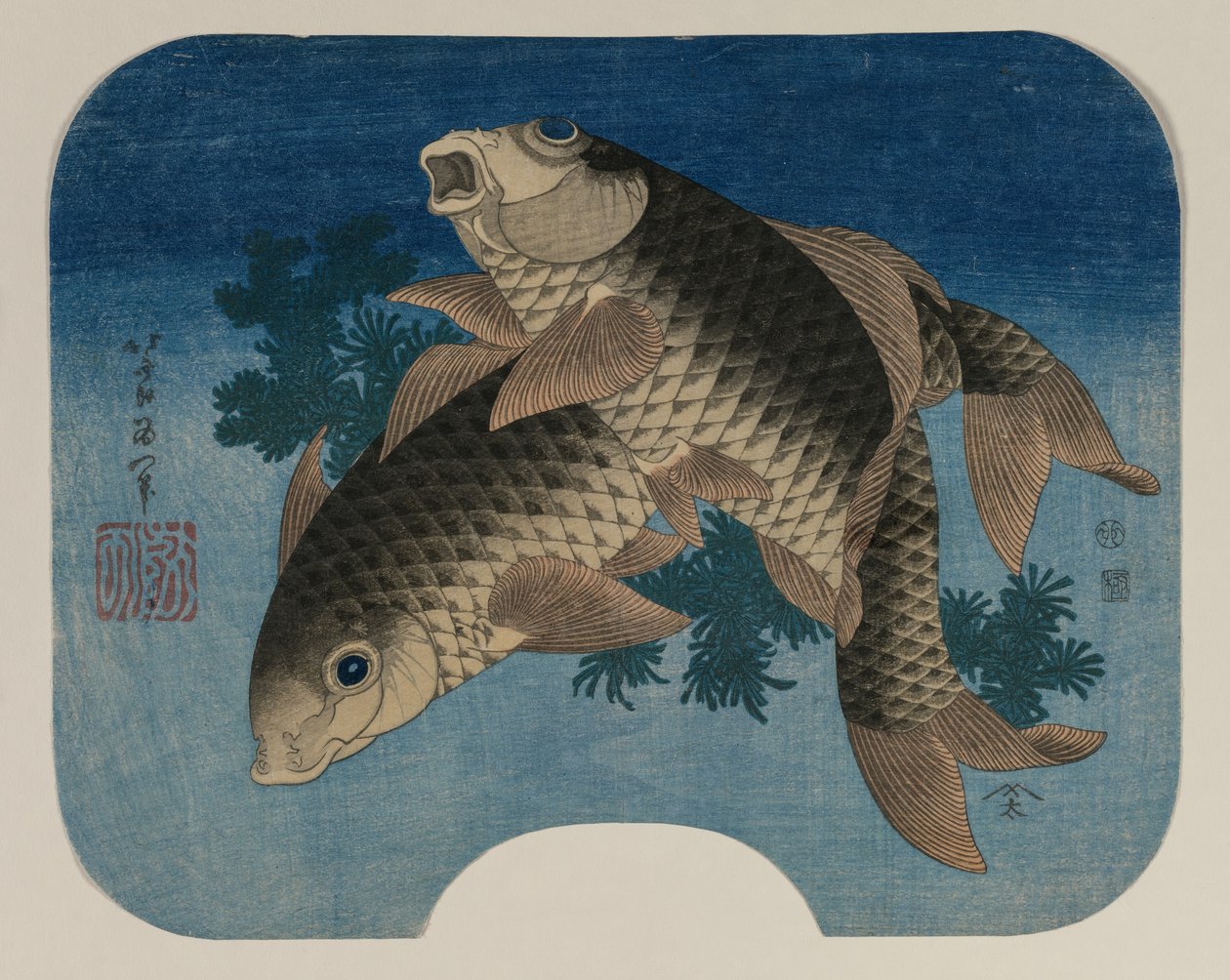Karp simning av vatten ogräs av Katsushika Hokusai
