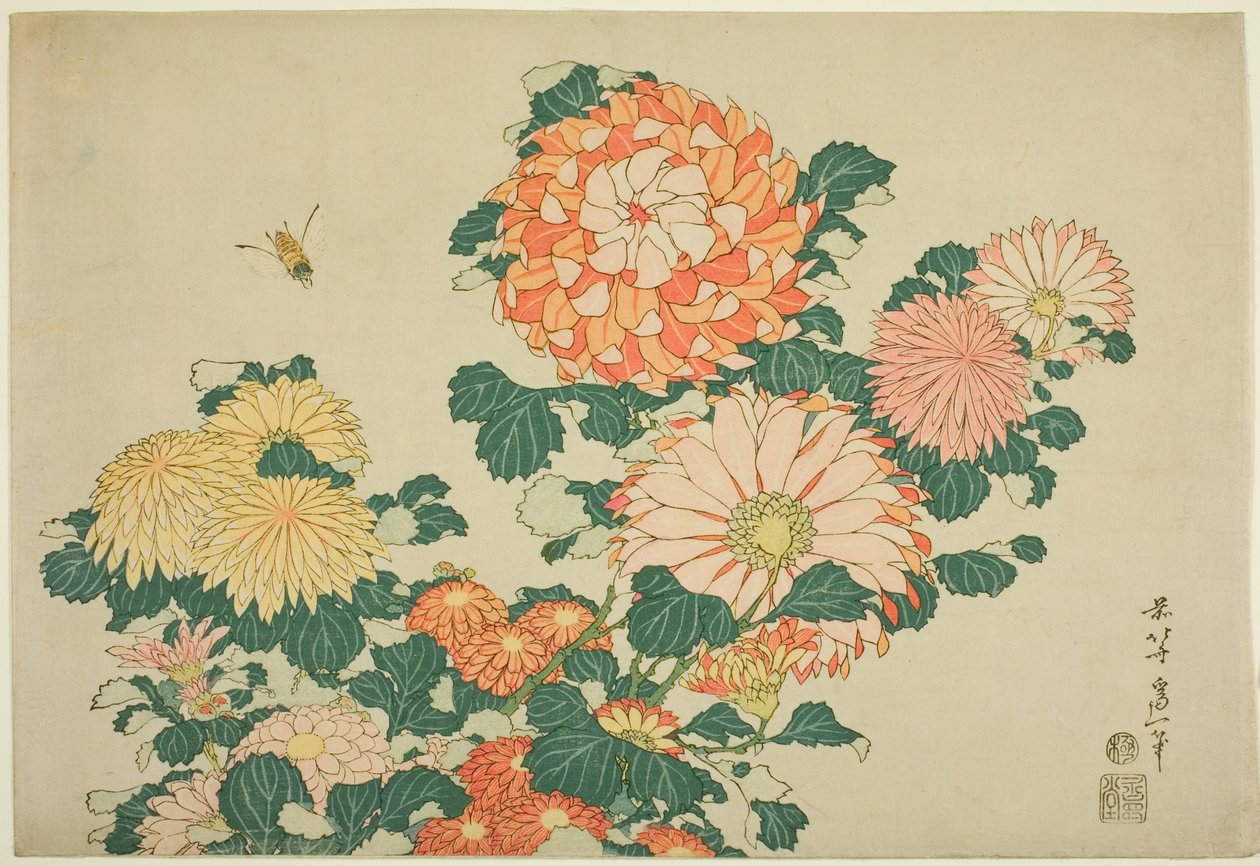Krysantemum och bi, från en namnlös serie stora blommor av Katsushika Hokusai