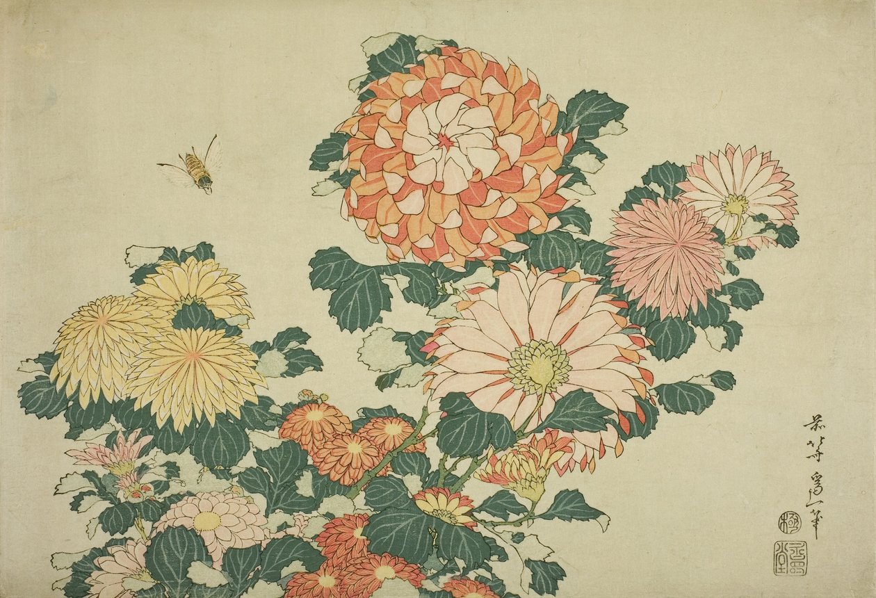 Chrysanthemums and Bee, från en namnlös serie stora blommor, ca 1833-34 av Katsushika Hokusai
