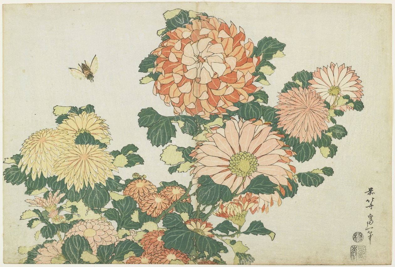 Krysantemum och hästfluga, ca 1832 av Katsushika Hokusai