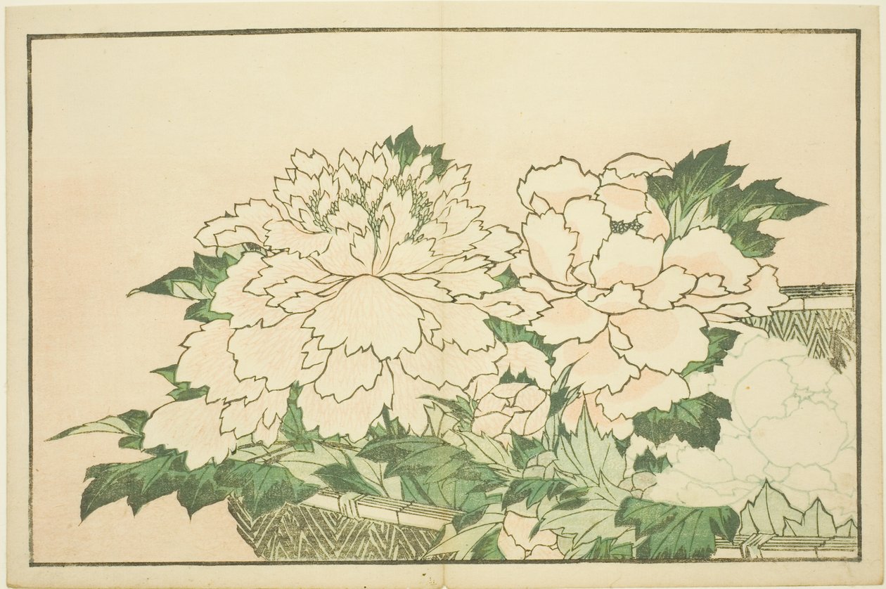 Krysantemum i en korg, från The Picture Book of Realistic Paintings of Hokusai (Hokusai shashin gafu) av Katsushika Hokusai
