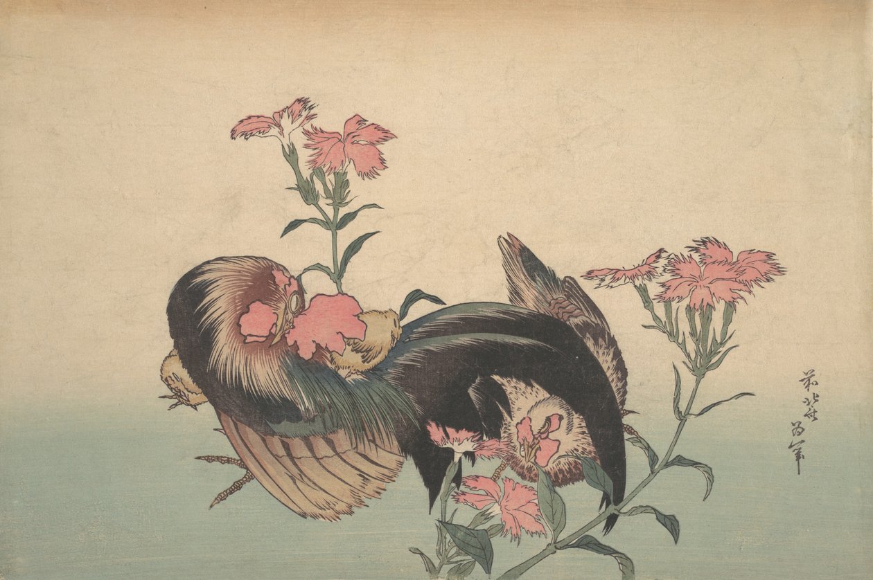 Cock, Hen och Nadeshiko Dianthus Superbus. av Katsushika Hokusai