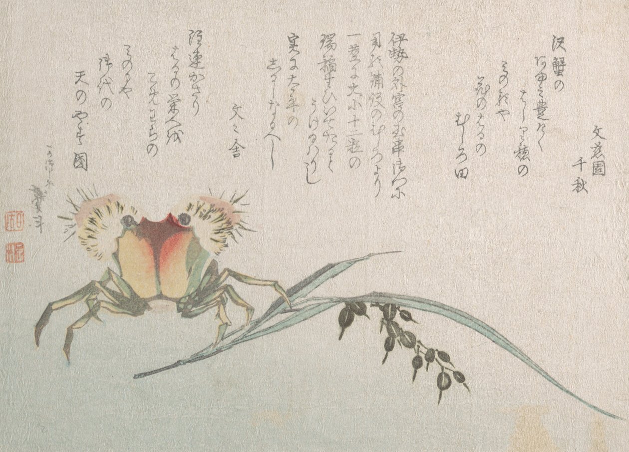 Krabba och risväxt, 1800-talet. av Katsushika Hokusai