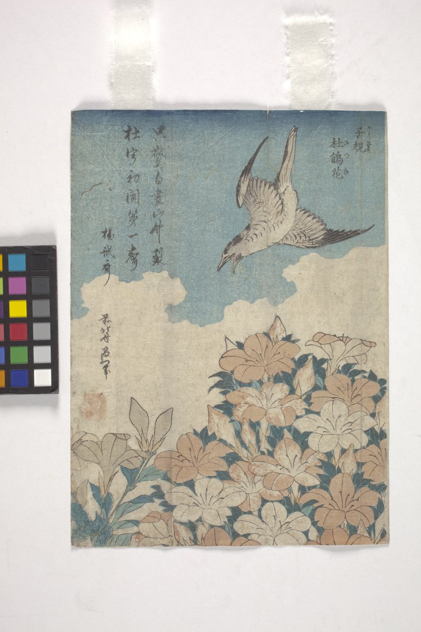 Gök och Azalea (träsnitt i färg) av Katsushika Hokusai